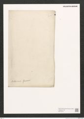 Diatomeae indet. Zeichnungen Sammlung Grunow (NHMW-BOT-W0372574)